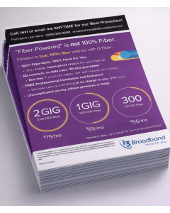 Door to Door Missouri Flyers